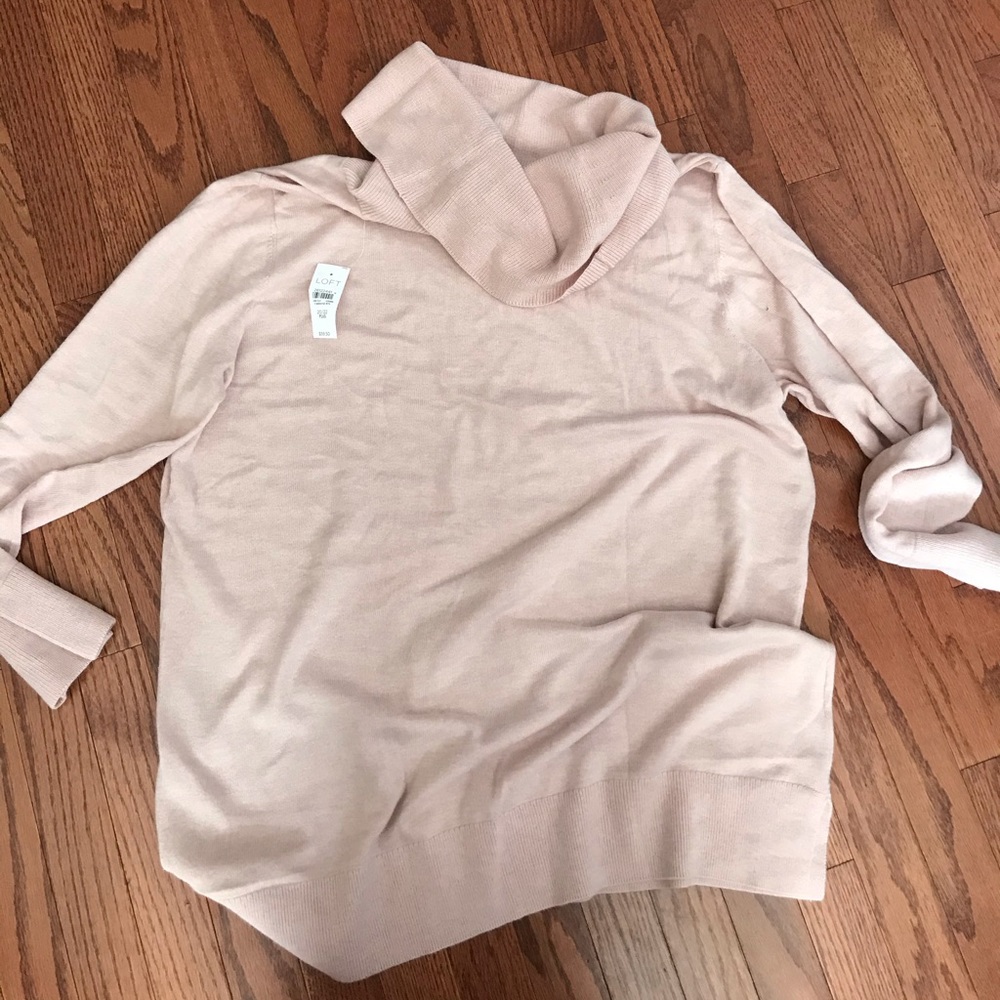 LOFT sweater
